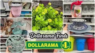 NEW DOLLARAMA CANADA FINDS | SHOPPING HAUL | KITCHEN PANTRY ORGANIZER #dollaramacanada #dollartree
