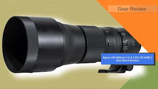 Sigma 150-600mm f/5-6.3 DG OS HSM C | Out in the real world, review