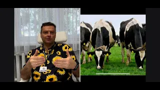 Чому вирізали українських корів? Чому різна ціна на МОЛОКО? ФЕРМИ vs СЕЛЯНИ