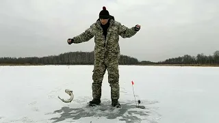 ЭТО ШОК!Вот это я понимаю ПЕРВЫЙ ЛЕД,даже покурить некогда,не успеваем ставить жерлицы