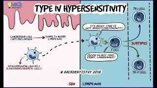 Type IV Hypersensitivity - Delayed type hypersensitivity