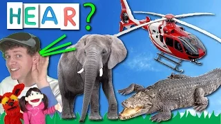 What Do You Hear? Song #3 | Learn With Matt Helicopter and More | Learning Vehicle and Animal Sounds