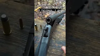 5 Calibers in 1 One Gun