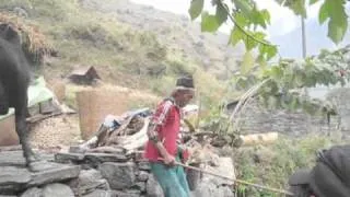 Kell's Trek in Nepal YouTube