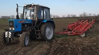 МТЗ БЕЛАРУС 🇧🇾. В поле с плугом.