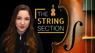 Instruments 101: Strings