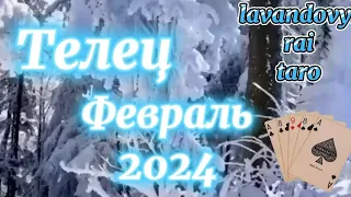 Телец♉.Февраль 2024❄️.Таропрогноз 💯. Берегись Мага🤔.#таро #раскладтаро #телец #таропрогноз