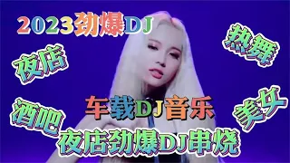 2023网络劲爆3D环绕版，好听DJ洗脑神曲，车载低音炮，节奏太嗨了