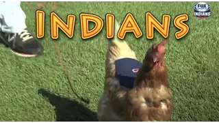 Cleveland Indians: Funny Baseball Bloopers