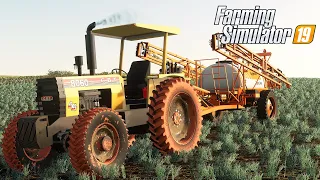 NÃO ACREDITO QUE ELE COMPRO ESSE TRATOR | Farming Simulator 19 | Fazendas Paraná - Episodio 39