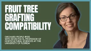 Fruit Tree Grafting Compatibility: What Trees Can Be Grafted Together? #grafting #fruittrees