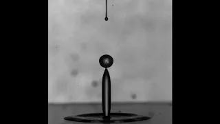 Rebound of a oil-lubricated water drop on a hydrophilic surface