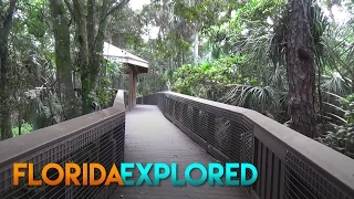 Fern Forest Nature Center - Coconut Creek, FL | Florida Explored