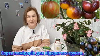 Які ПОМІДОРИ буду висівати в 24 році для вулиці🍅#екзотичнісортипомідорів#сортитоматів#томатинавулиці