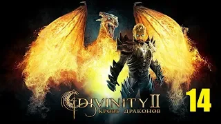 СТАРЕЙШИЙ ДРАКОН! • Divinity 2: Кровь драконов #14