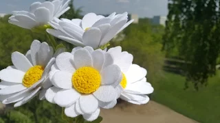 How to make FELT DAISY flowers. Ромашки из фетра