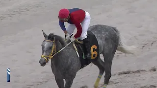 Gulfstream Park Replay Show | May 15, 2020