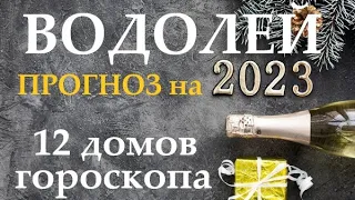 ВОДОЛЕЙ♒ Прогноз на 2023 год👍Таро прогноз гороскоп для Вас 12 домов по 3 темы, в раскладе 12 колод!