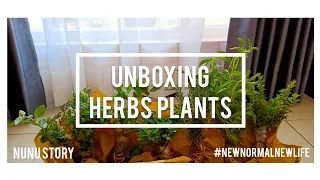 Unboxing Herbs Plants