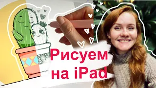 Рисуем в стиле kawaii на iPad PRO в Procreate || Часть 1