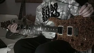 Metallica-St.anger(guitar cover)