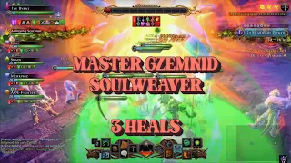 Neverwinter Soulweaver - Master Gzemnid's Reliquary - Warlock, Paladin, Bard Heals