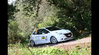 Saarland-Pfalz Rallye 2021 Onboard WP12 I Reiter/Meter I Peugeot 208 R2