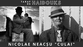 Taraf de Haidouks - Neacsu Nicolae ("Culai") 🎻 COLAJ