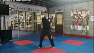 Wing Chun Chum Kiu 詠春 尋橋