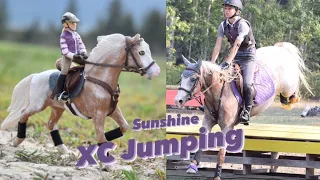 Sunshine Jumps Cross Country! Model Horse & Real Sunshine Pony |Short Role-Play|