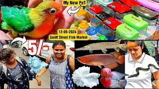 Recent Aquarium Fish Price Update | Galiff street Fish Market | Galiff Street new video 12-05-2024