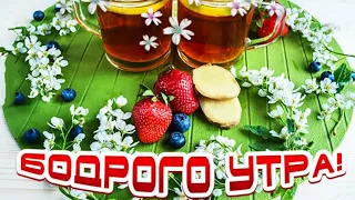 Доброе утро! Чудесного Вам дня и новых открытий!