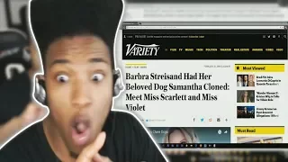 ETIKA TALKS ABOUT ANIMAL CLONING | ETIKA STREAM HIGHLIGHT