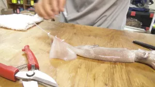 Mustad How to: How to rig a squid for swordfish