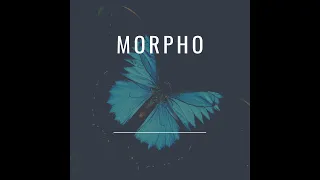 Легкий и интересный Тестнет Morpho - полная инструкция