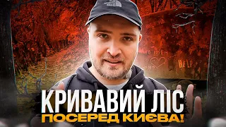 Жахливі історії Сирецького лісу. Справжній осередок криміналу?