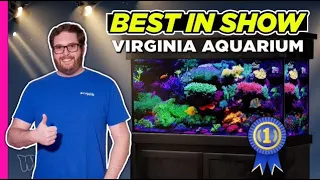 Best Tank in The Whole State of Virginia???