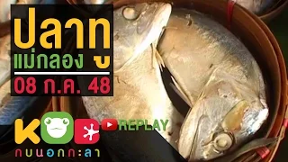 กบนอกกะลา REPLAY : ปลาทูแม่กลอง ช่วงที่ 4/4 (8 ก.ค. 48)