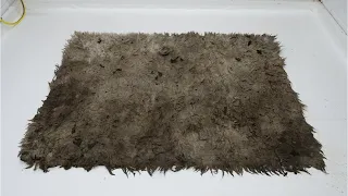 Maggot Infested Rug - Pure ASMR Sounds