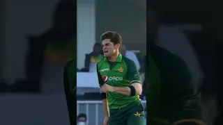 Shaheen Afridi's rip-roaring performance 🔥🎥 5️⃣-fer against Zimbabwe in 2020 in Rawalpindi ☄️#Shorts