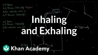 Inhaling and exhaling | Respiratory system physiology | NCLEX-RN | Khan Academy