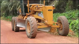 BULLDOZER MANFAAT MEMPERBAIKI JALAN PADA KEBUN KELAPA SAWIT