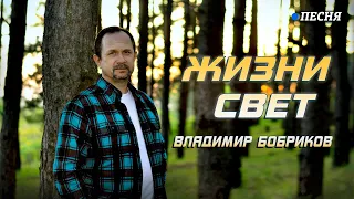 Жизни свет - Владимир Бобриков