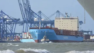 Vayenga Maersk 5th April 2024