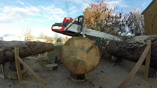 Mystery Husqvarna 5 Series Saw vs Stihl 5ooi - Woodlot Session