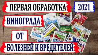 🍇 Чтобы виноград не болел! Когда и чем провести ПЕРВУЮ ОБРАБОТКУ от болезней и вредителей. 3-5 лист.