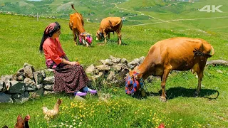 İnekli Yayla Göçü | Belgesel