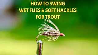 How To Swing & Present Soft Hackle Flies for Trout