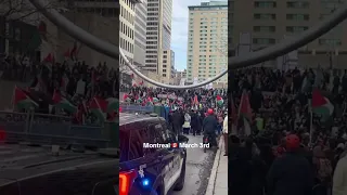 Palestine Protest Montreal