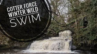 Winter Wild Swim in Cotter Force, Yorkshire Dales: Join me for a cold, immersive dip! #wildswimming